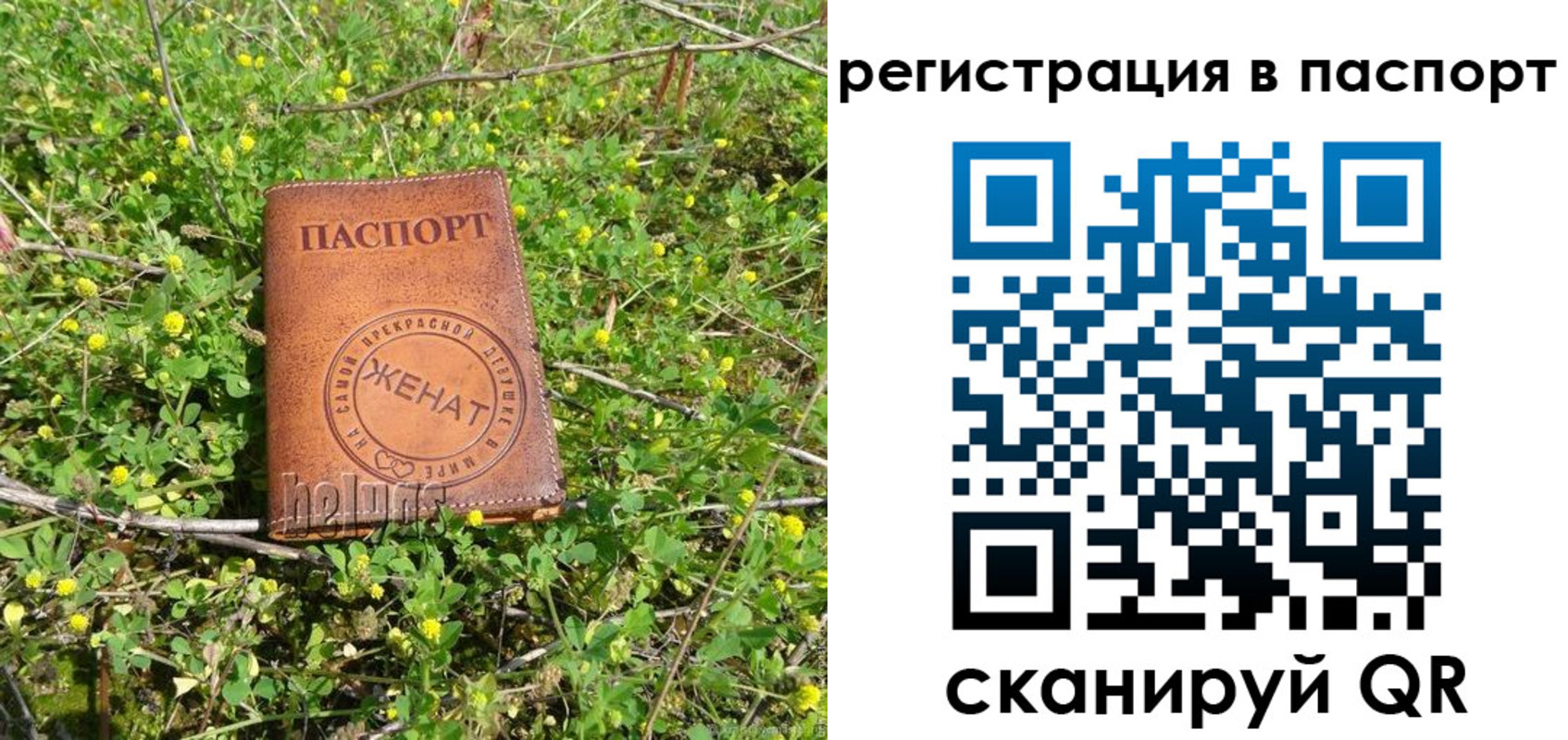 прописка законно в Шлиссельбурге